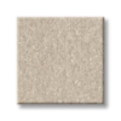 Shaw Flushing Bay Chiffon Texture Carpet with Pet Perfect-Sample